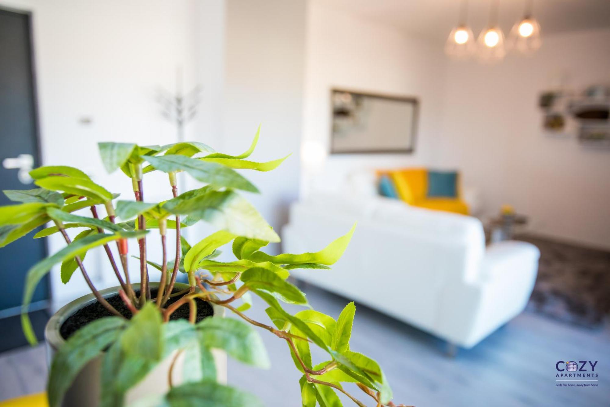 Apartment Luxury Cozy At Plaza Arad